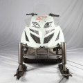 EEC EPA Extreme Adult RC Snowmobile